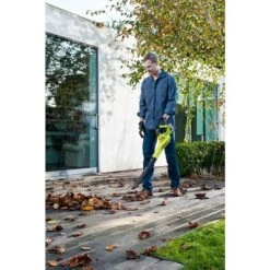 Ryobi ONE+ Akku-Laubbläser OBL 1820 S 18 V, Li-Ionen, Ohne Akku, Blasgeschwindigkeit: 245 Km/h -Heimwerkzeuge erkäufe 2024 12 1128