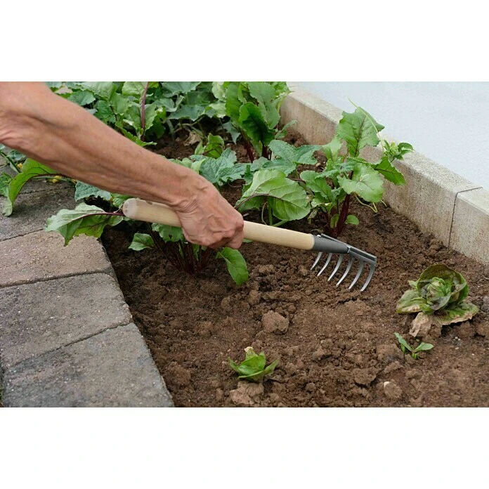 Gardol Hand-Kleinrechen Arbeitsbreite: 14 Cm, Anzahl Zinken: 6, Kurzstiel 4 Gardol Hand-Kleinrechen Arbeitsbreite: 14 Cm, Anzahl Zinken: 6, Kurzstiel – Bild 2