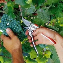 Gardena Premium Gartenschere BP50 Bypass, Max. Aststärke: 22 Mm 8 Gardena Premium Gartenschere BP50 Bypass, Max. Aststärke: 22 Mm -Heimwerkzeuge erkäufe 2024 12 1845