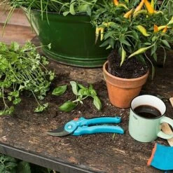 Gardena Classic Gartenschere S-M I Schneidsystem: Bypass, Max. Aststärke: 22 Mm 9 Gardena Classic Gartenschere S-M I Schneidsystem: Bypass, Max. Aststärke: 22 Mm -Heimwerkzeuge erkäufe 2024 12 2012