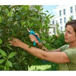 Gardena Classic Gartenschere S-M I Schneidsystem: Bypass, Max. Aststärke: 22 Mm 11 Gardena Classic Gartenschere S-M I Schneidsystem: Bypass, Max. Aststärke: 22 Mm -Heimwerkzeuge erkäufe 2024 12 2014