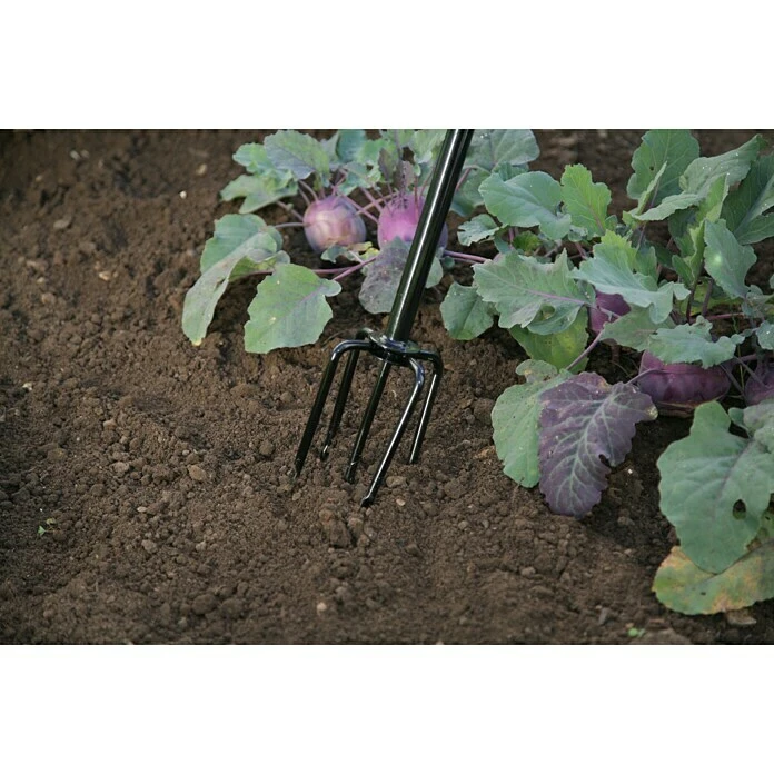 Freund Victoria Gartenkralle Anzahl Zinken: 5, Mit Stiel 4 Freund Victoria Gartenkralle Anzahl Zinken: 5, Mit Stiel – Bild 2