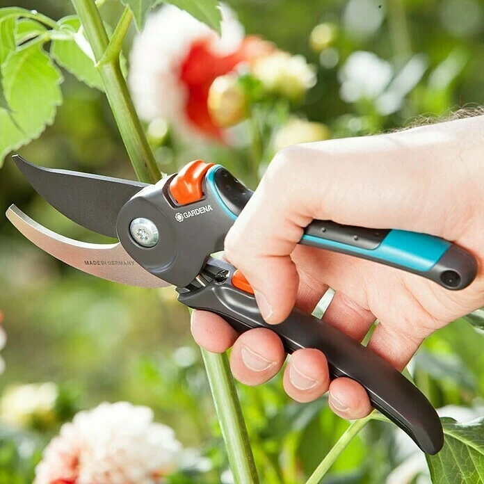 Gardena Comfort Gartenschere B/M Bypass, Max. Aststärke: 24 Mm 5 Gardena Comfort Gartenschere B/M Bypass, Max. Aststärke: 24 Mm – Bild 3