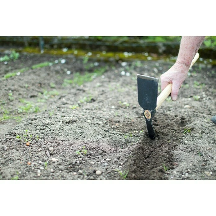 Gardol Kleinhacke Arbeitsbreite: 7,5 Cm, Geschmiedet, Kurzstiel 4 Gardol Kleinhacke Arbeitsbreite: 7,5 Cm, Geschmiedet, Kurzstiel – Bild 2