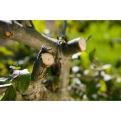 Gardena Comfort Ratschenschere Smart Cut Amboss, Max. Aststärke: 22 Mm, Ratschengetriebe 11 Gardena Comfort Ratschenschere Smart Cut Amboss, Max. Aststärke: 22 Mm, Ratschengetriebe -Heimwerkzeuge erkäufe 2024 12 2583