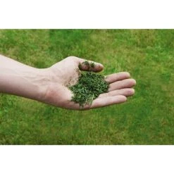 Einhell Power X-Change Akku-Rasenmäher GE-CM 36/43 Li M 18 V, 2 Akkus, 4 Ah, Schnittbreite: 43 Cm -Heimwerkzeuge erkäufe 2024 12 3459