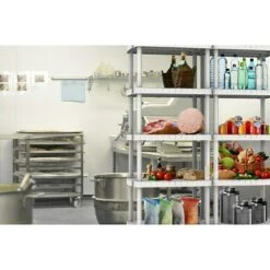 Terry Kunststoffregal Lebensmittelecht L X B X H: 39 X 59 X 144 Cm, Traglast: 40 Kg/Boden, Anzahl Böden: 5 Stk., Stecken -Heimwerkzeuge erkäufe 2024 12 4912